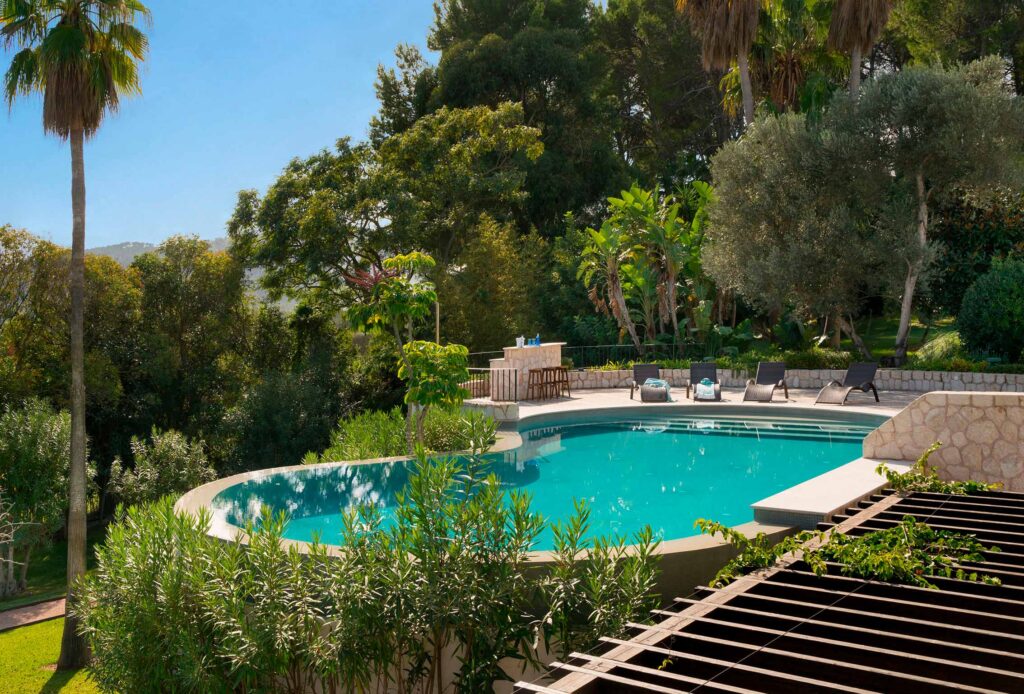 Piscina de forma orgánica rodeada de vegetación, con tumbonas, barra de piedra y pérgola de madera