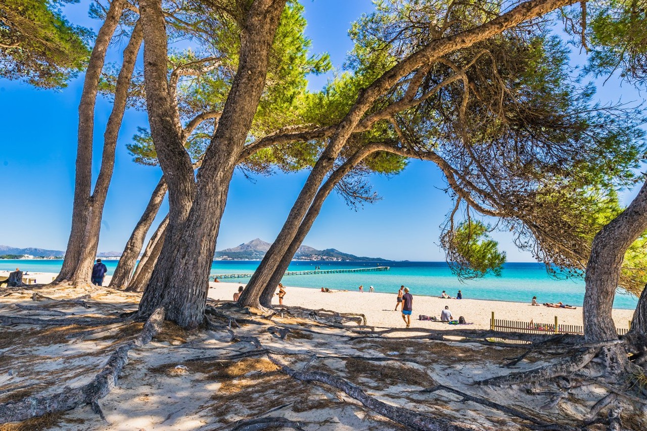 Bonaire bei Alcúdia, Mallorca