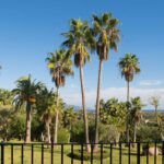 Palmeras altas en el jardín vistas tras una barandilla negra, con el mar al fondo
