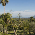 Jardín con palmeras, árboles y una gran maceta de barro, con el mar en el horizonte