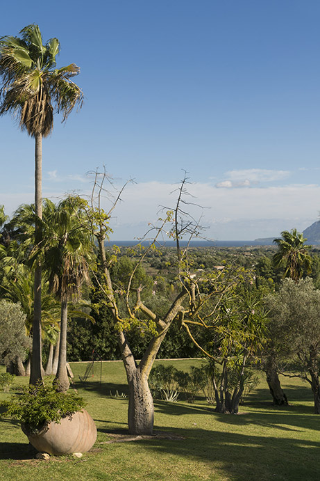 Jardín con palmeras, árboles y una gran maceta de barro, con el mar en el horizonte