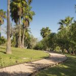 Camino curvo de grava con bordes metálicos entre césped, palmeras altas y pequeñas flores rosas