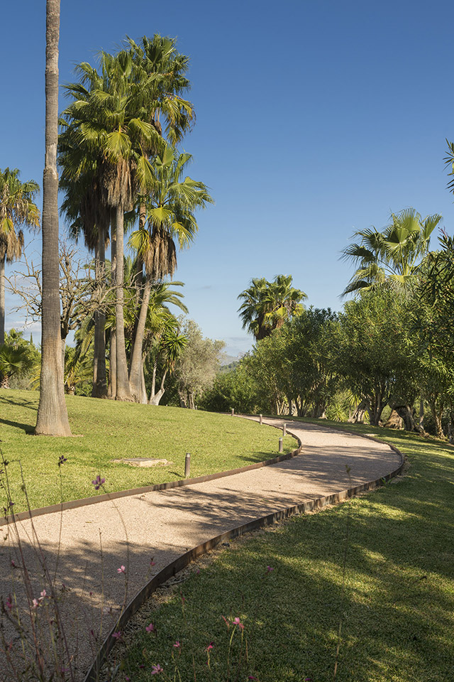 Camino curvo de grava con bordes metálicos entre césped, palmeras altas y pequeñas flores rosas