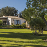 Casa de una planta al fondo de un jardín de césped, con olivo nudoso y cactus alto
