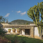 Patio de la casa con macetas de terracota, tejado de teja, cactus altos y montaña al fondo