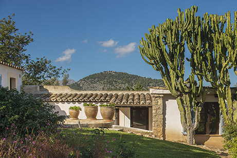 Patio de la casa con macetas de terracota, tejado de teja, cactus altos y montaña al fondo