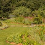Garten mit Rasen, Plattenweg, mediterranen Pflanzen und orangefarbenen Blüten vor dem Wald
