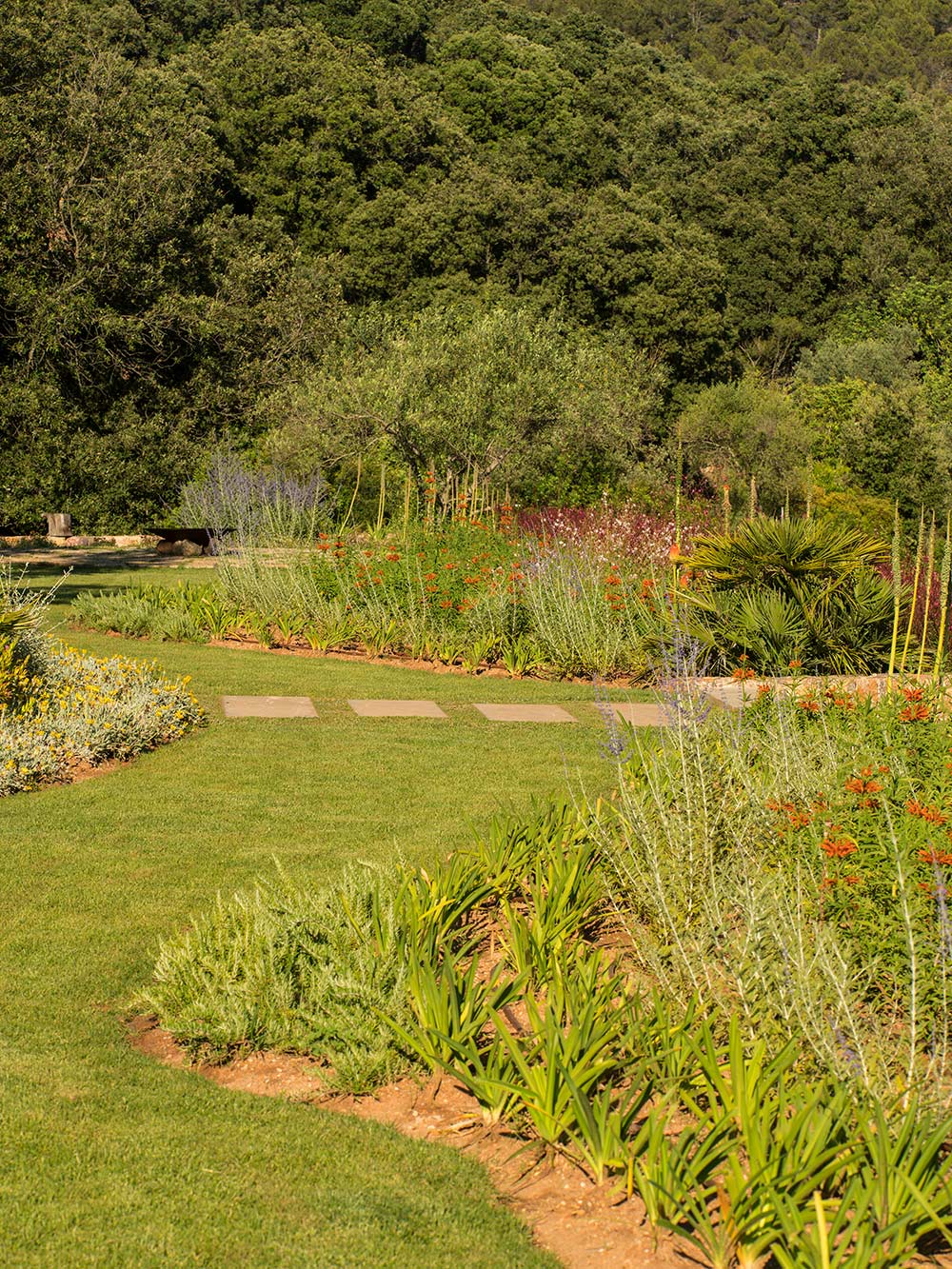 Garten mit Rasen, Plattenweg, mediterranen Pflanzen und orangefarbenen Blüten vor dem Wald
