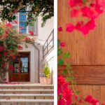 Entrance with bougainvillea in flower and stone steps, alongside a detail of the wooden door