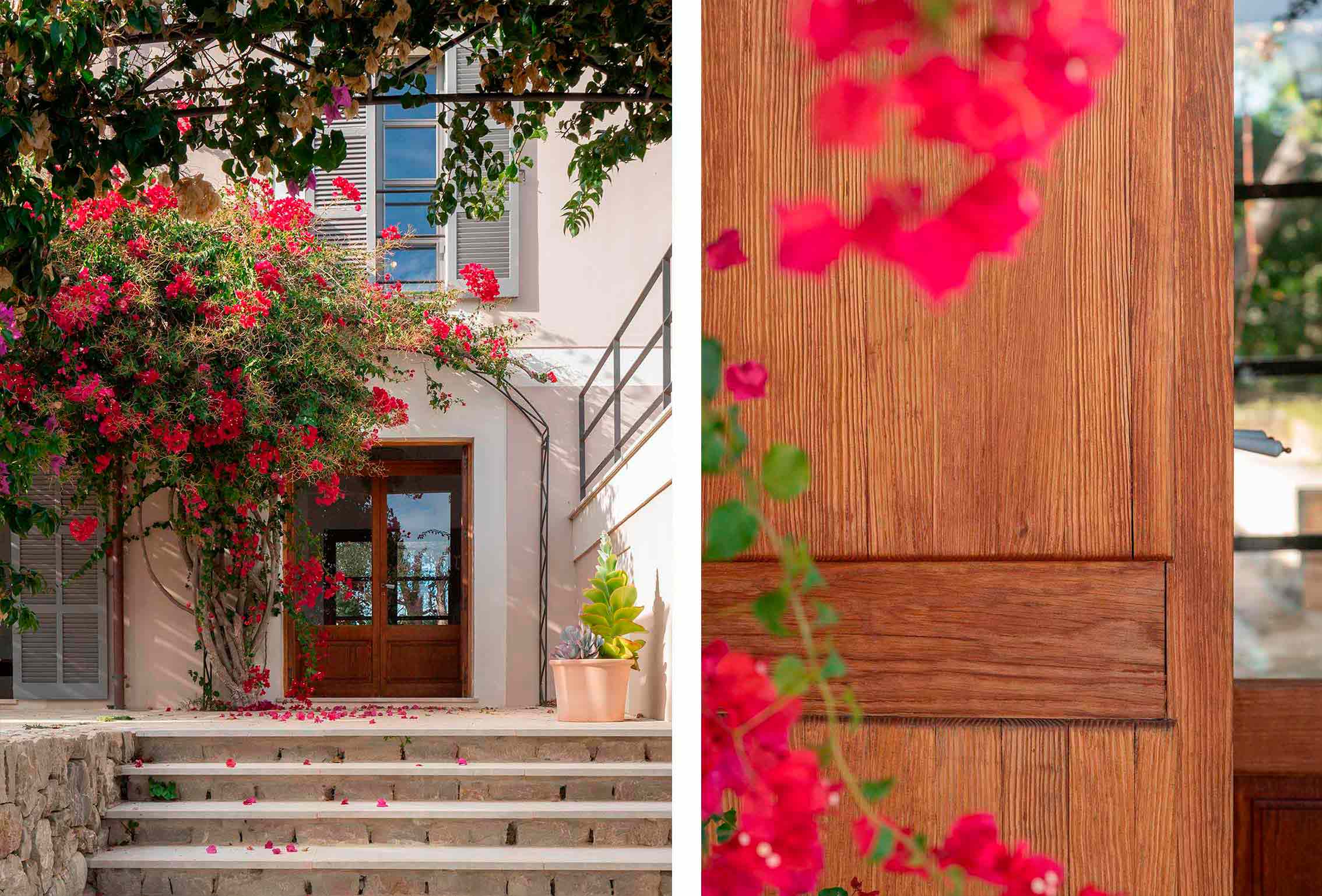 Entrance with bougainvillea in flower and stone steps, alongside a detail of the wooden door