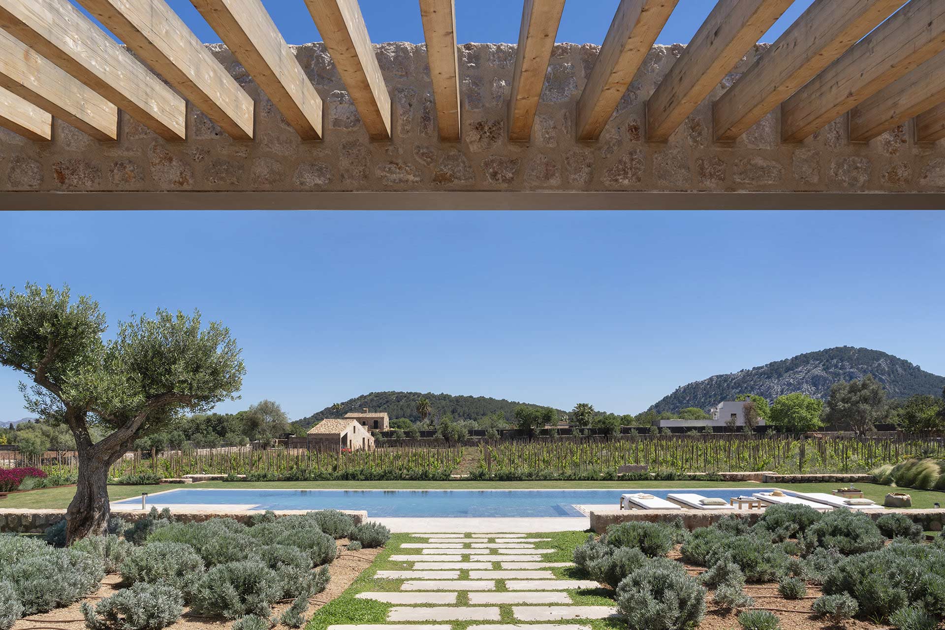 Vista bajo la pérgola hacia el camino de losas, el olivo, la piscina y el viñedo