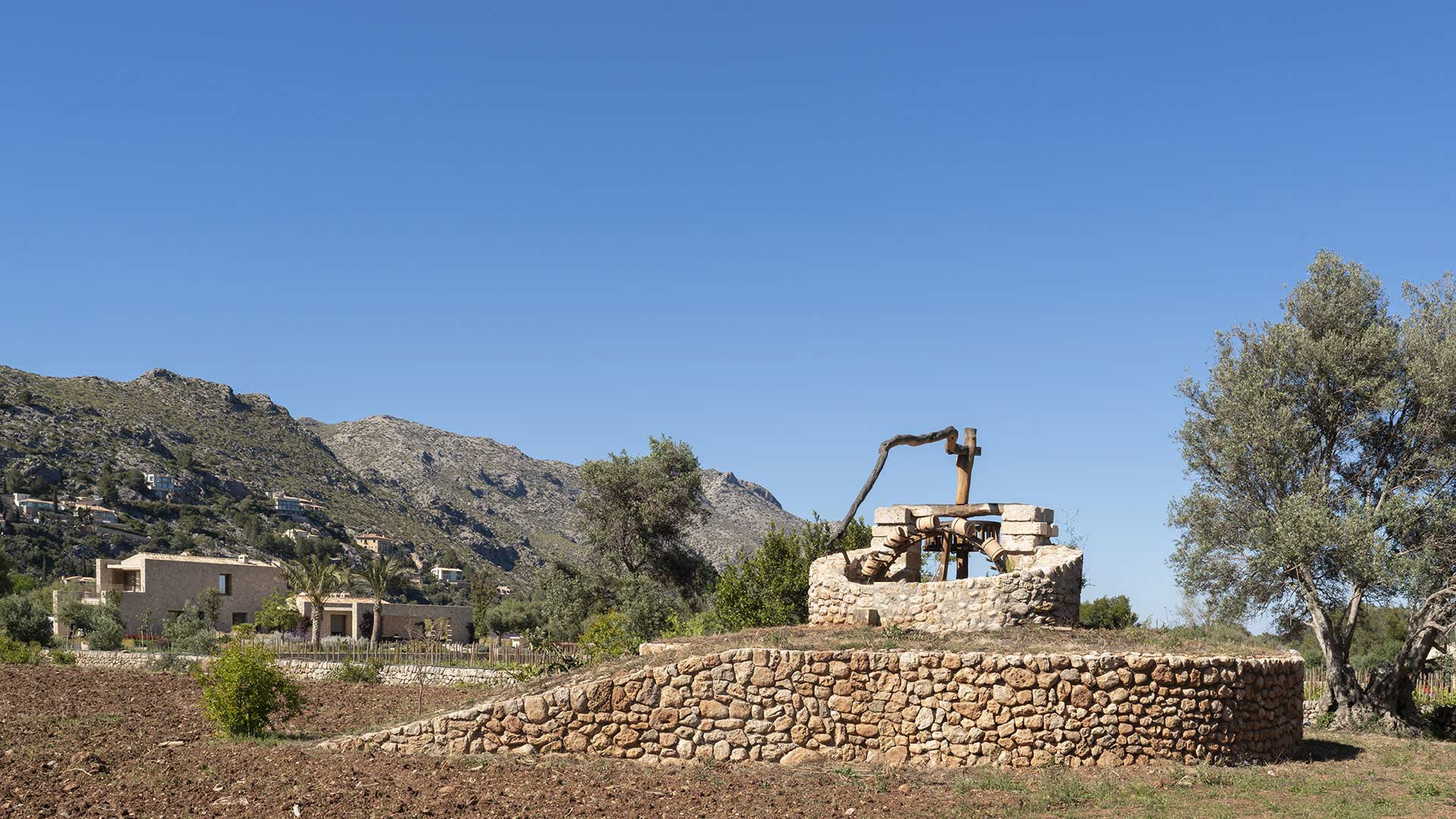 Pozo de piedra con mecanismo de madera sobre una base circular, con olivo y casas al fondo