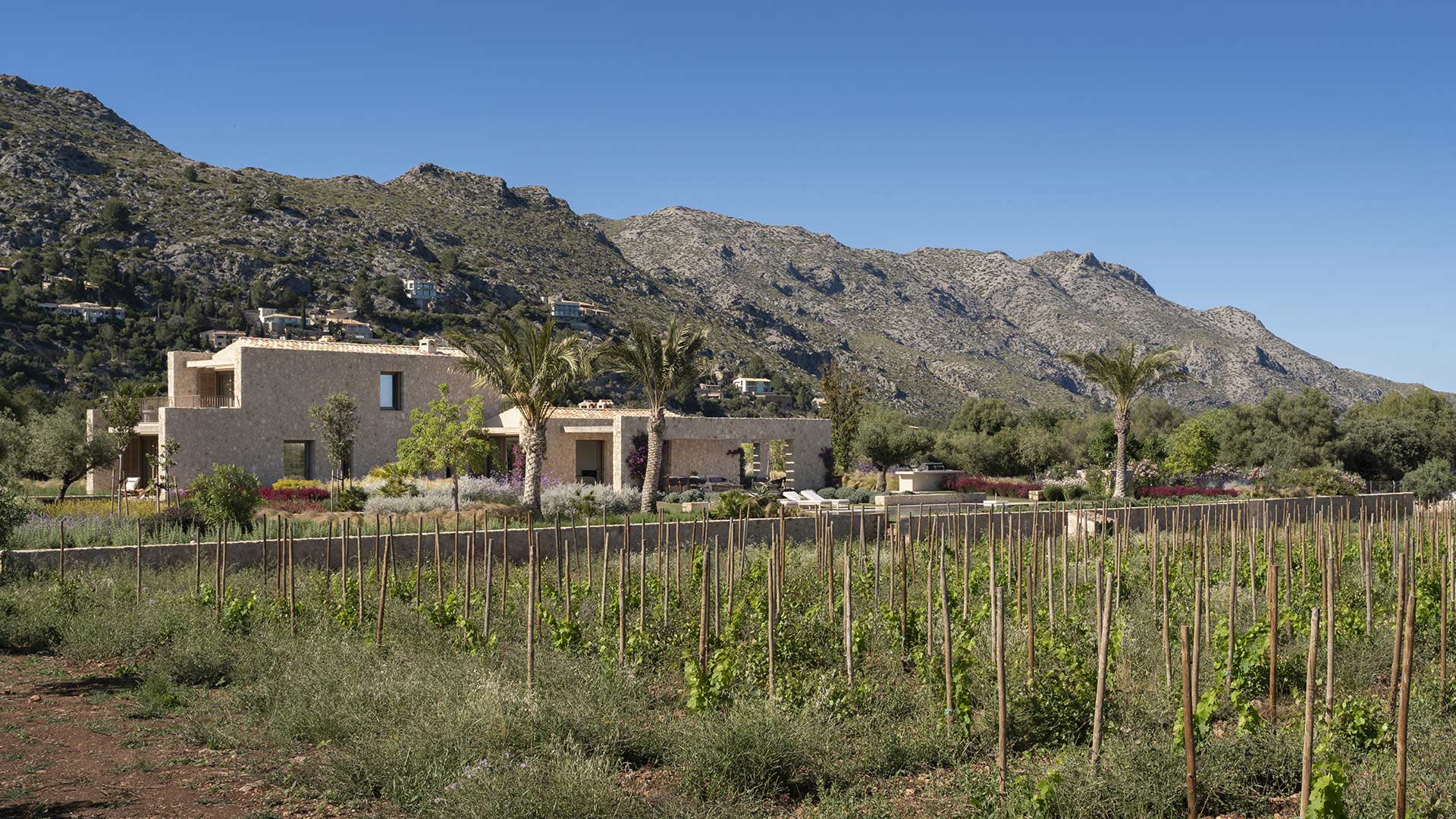 Vista lateral de la villa de piedra entre palmeras, tras el viñedo y bajo las crestas rocosas