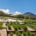 Jardín en bancales con gramíneas y bordes de acero corten, con la piscina y las montañas al fondo