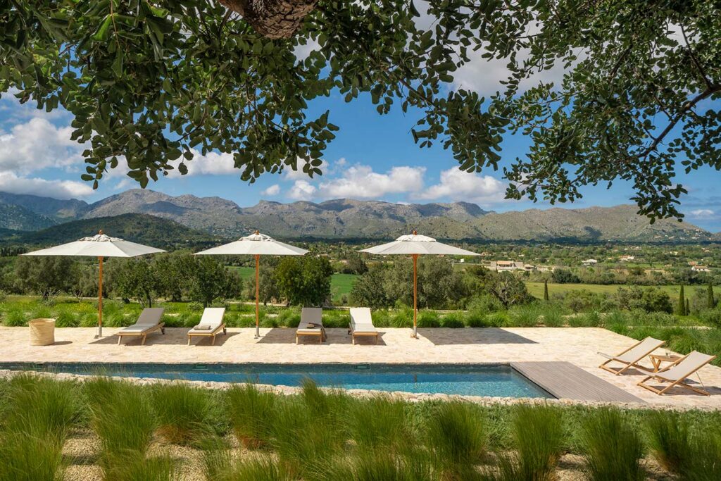 Piscina con sombrillas blancas y tumbonas, enmarcada por ramas de árbol y montañas al fondo