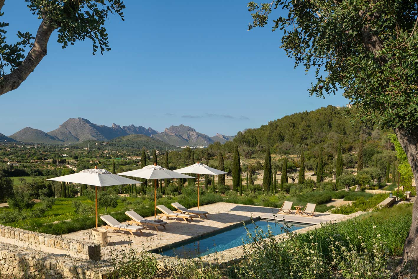 Vista elevada de la piscina con sombrillas blancas, cipreses y sierra al fondo tras ramas de olivo