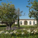 Pavillon mit Bögen zwischen einem Olivenbaum und weiteren Bäumen, davor weiße und blaue Schmucklilien