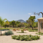 Kiesgarten mit einem Beet weißer Blumen, Sonnenliegen am Swimmingpool und einem Baum mit gewundenem Stamm