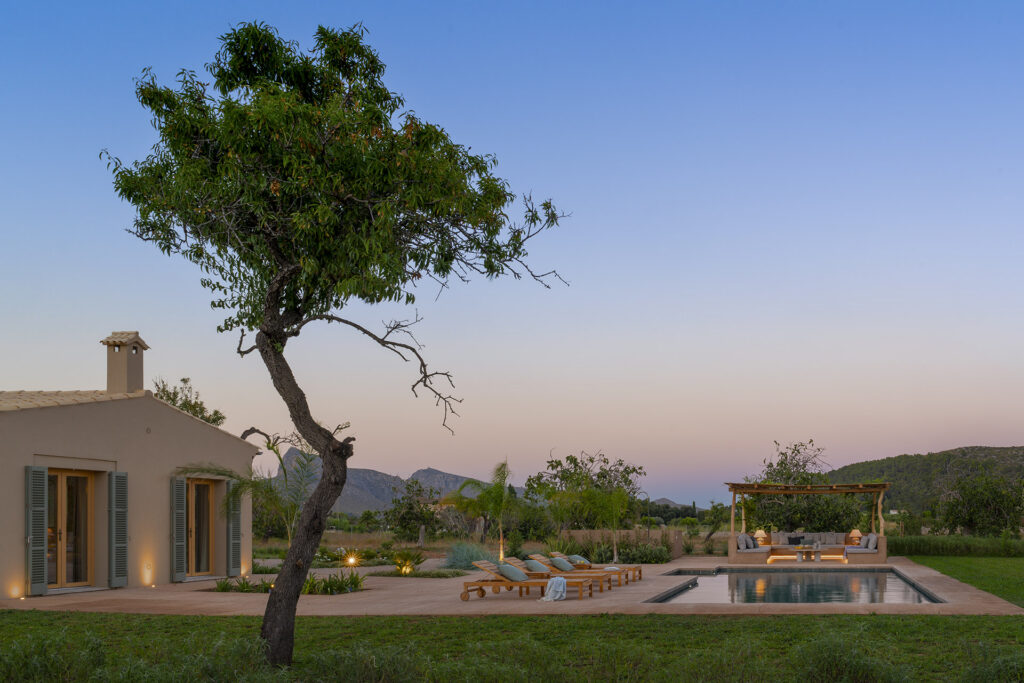 Baum mit gebogenem Stamm neben dem Haus, im Hintergrund Swimmingpool und Pergola in der Dämmerung