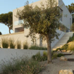 Mediterranean garden with olive tree, lavender, rocks and gravel in front of the white house with external staircase