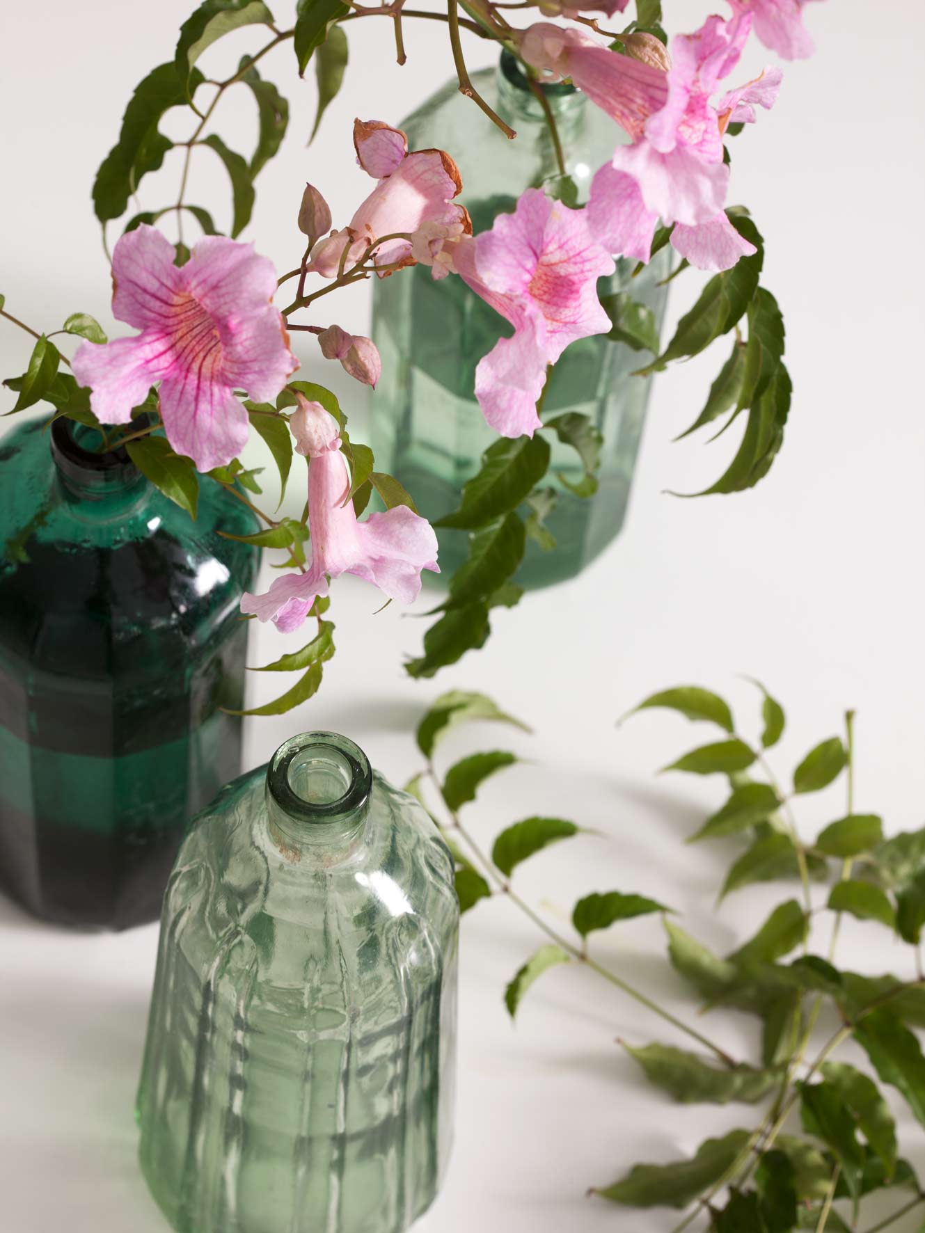 Nahaufnahme von Zweigen mit rosa Blüten vor grünen Glasflaschen in zwei Farbtönen