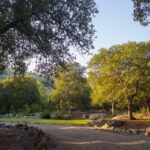 Camino de grava entre encinas, rocas y césped, con luz cálida y colinas al fondo