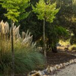 Jardín con hierba de la pampa, árboles jóvenes y camino de grava bordeado de piedras