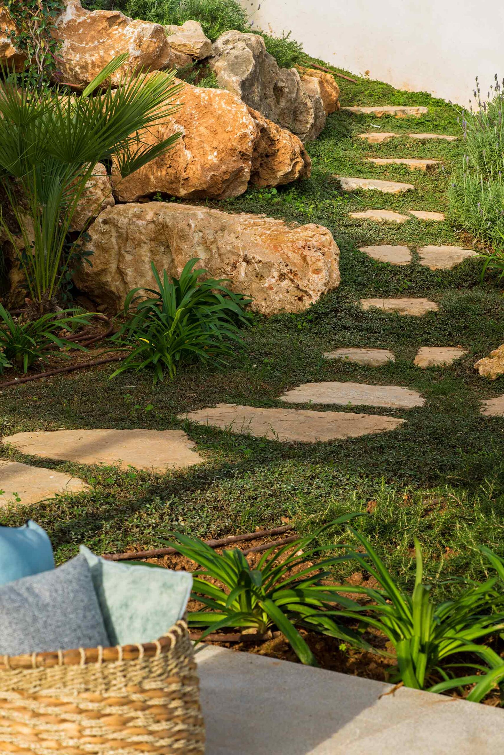 Jardín con camino de losas de piedra sobre el césped, grandes rocas, palmera y cesto de mimbre