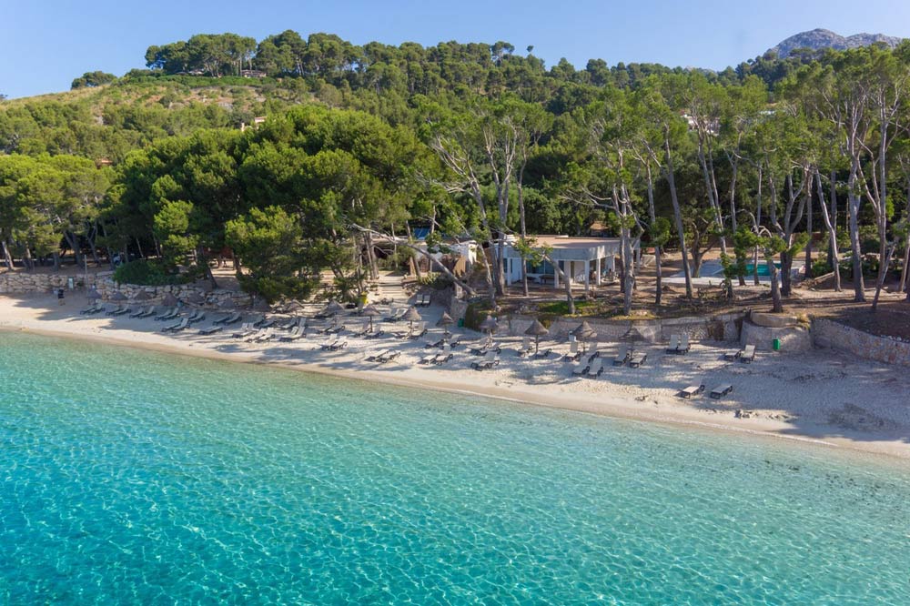 Sandstrand mit Liegestühlen vor einem Pinienwald und türkisfarbenem Wasser auf Mallorca