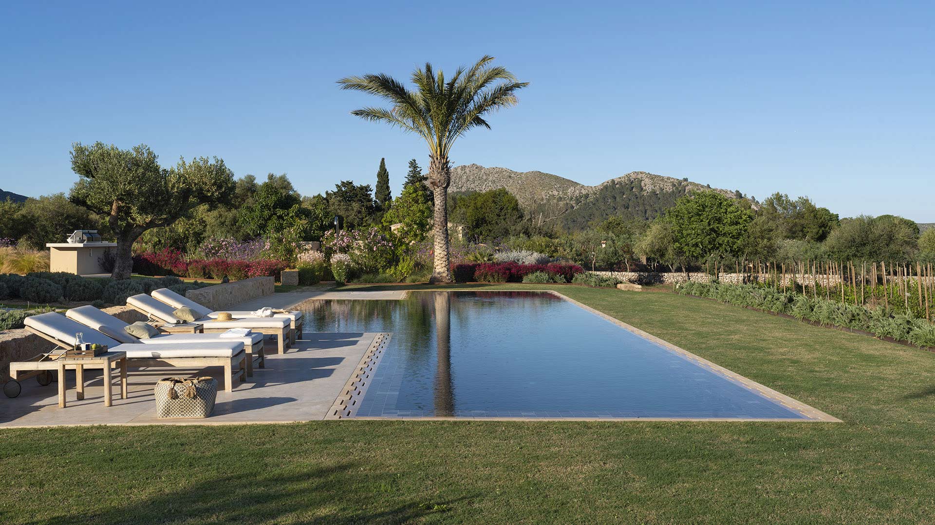 Piscina alargada con tumbonas, palmera y zona de barbacoa bajo luz cálida y montañas al fondo