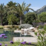 Piscina de fondo oscuro con tumbonas blancas, palmeras y flores moradas en primer plano