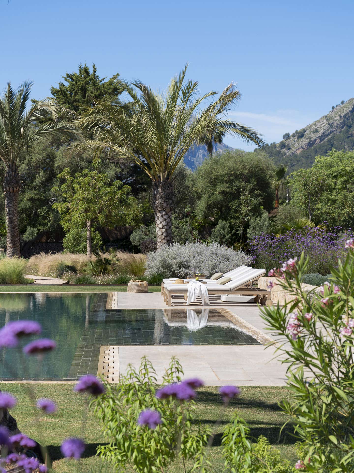 Piscina de fondo oscuro con tumbonas blancas, palmeras y flores moradas en primer plano