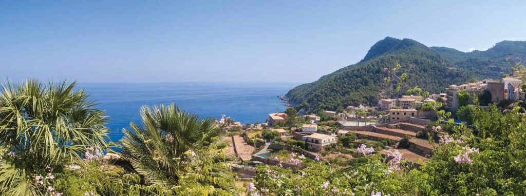 Asesores de propiedades y solares en Mallorca
