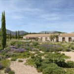 Render of Can Gat set beyond a Mediterranean lavender garden, with a cypress-lined path