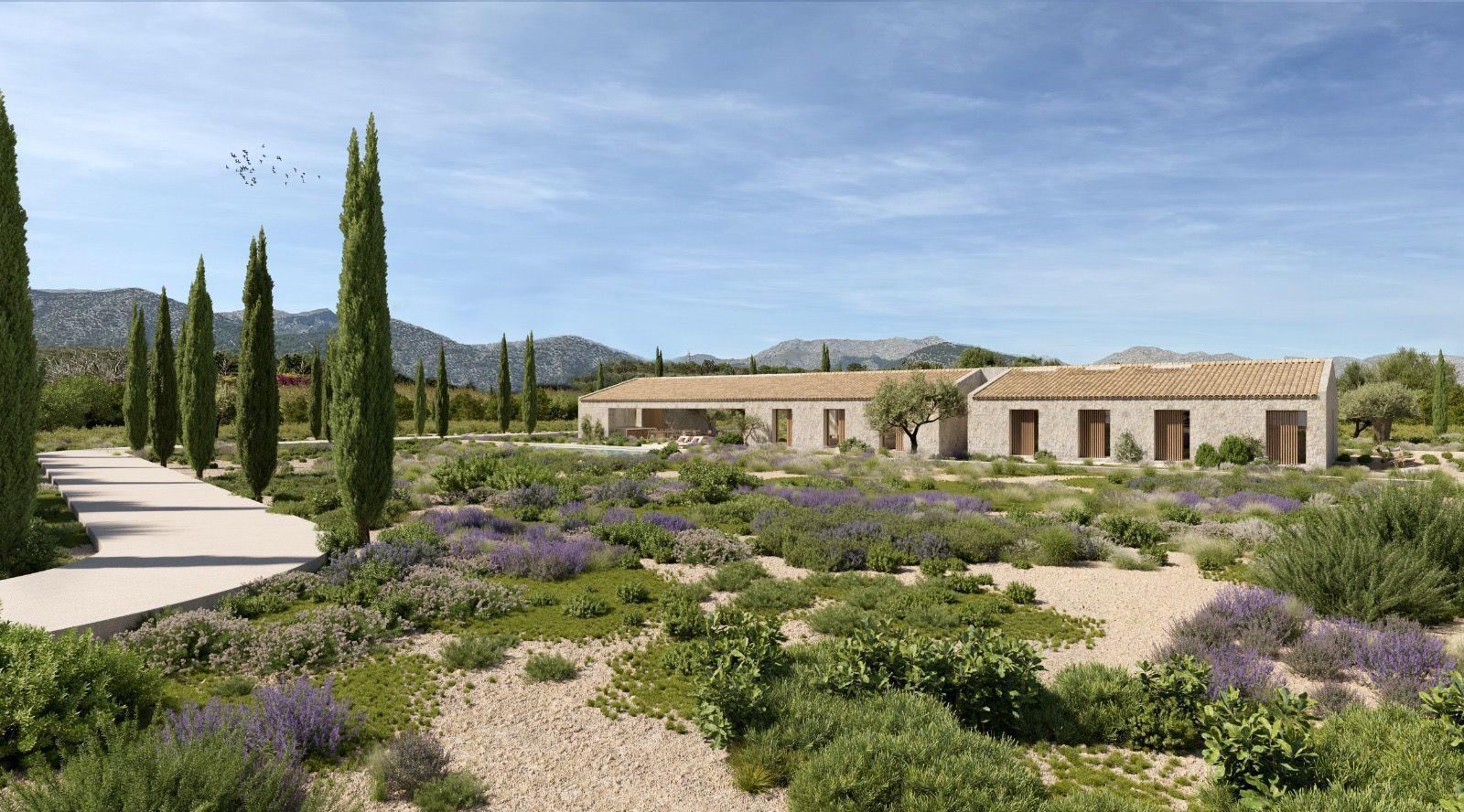 Render of Can Gat set beyond a Mediterranean lavender garden, with a cypress-lined path