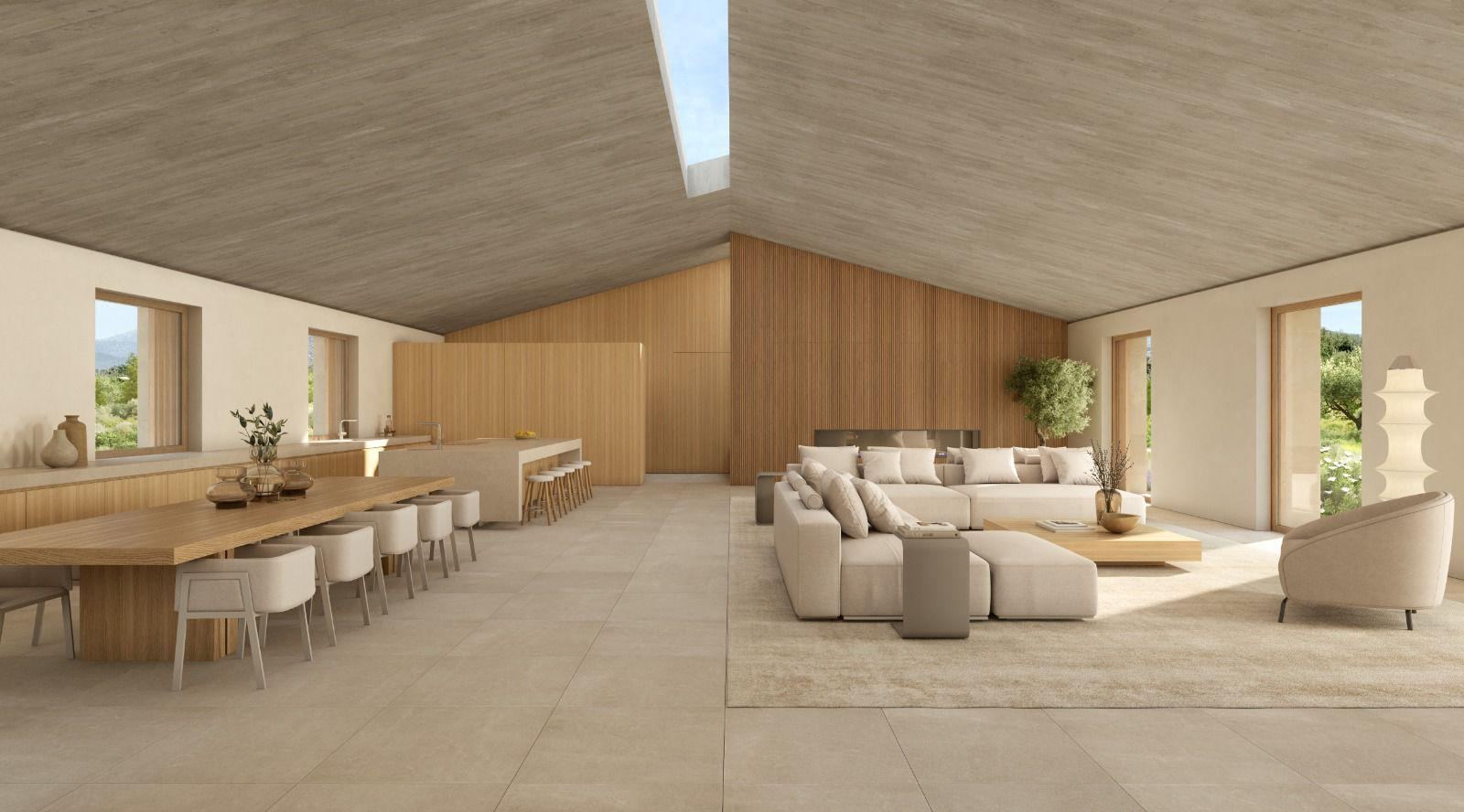 Render of the spacious living and dining area under a pitched ceiling with a skylight, with sofa and long table